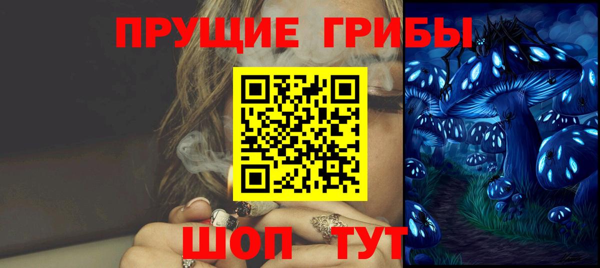 Галлюциногенные грибы Psilocybe Лангепас